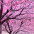 女曹德旺