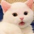 。。。