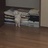 今今