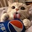 你的胖橘猫