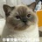 时令清香蘑菇