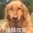群主
