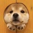 南韩子綦