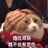 淀粉杀手