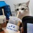 猪皮张