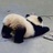 还是饱着吧