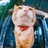 Moximoxi