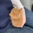 煎蛋煎蛋