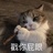 北橘为枳