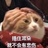 已注销