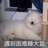 染头达人