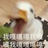 哈哈屁