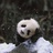 xiaoxxq