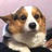 。。。