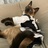 my_little_cat
