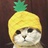 🐱