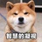 叶修拓