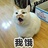 翼