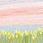 芯