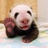 我要瘦20斤