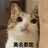 小橘子不见了
