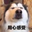 撕大妈