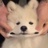 塑料珍珠