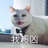 孔侑下一个女票