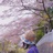 雀雀雀跃
