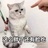 胖就胖吧