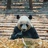 滚滚
