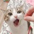 赫鲁小猪